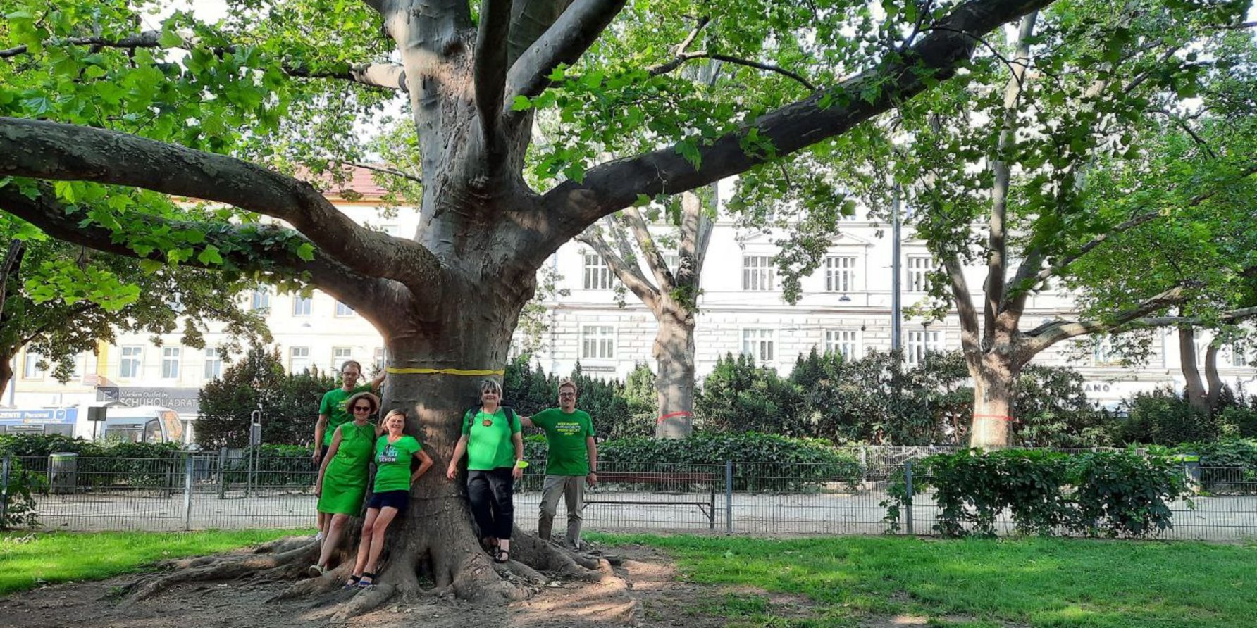 5 Grüne für Baum im Arne-Karlsson Park